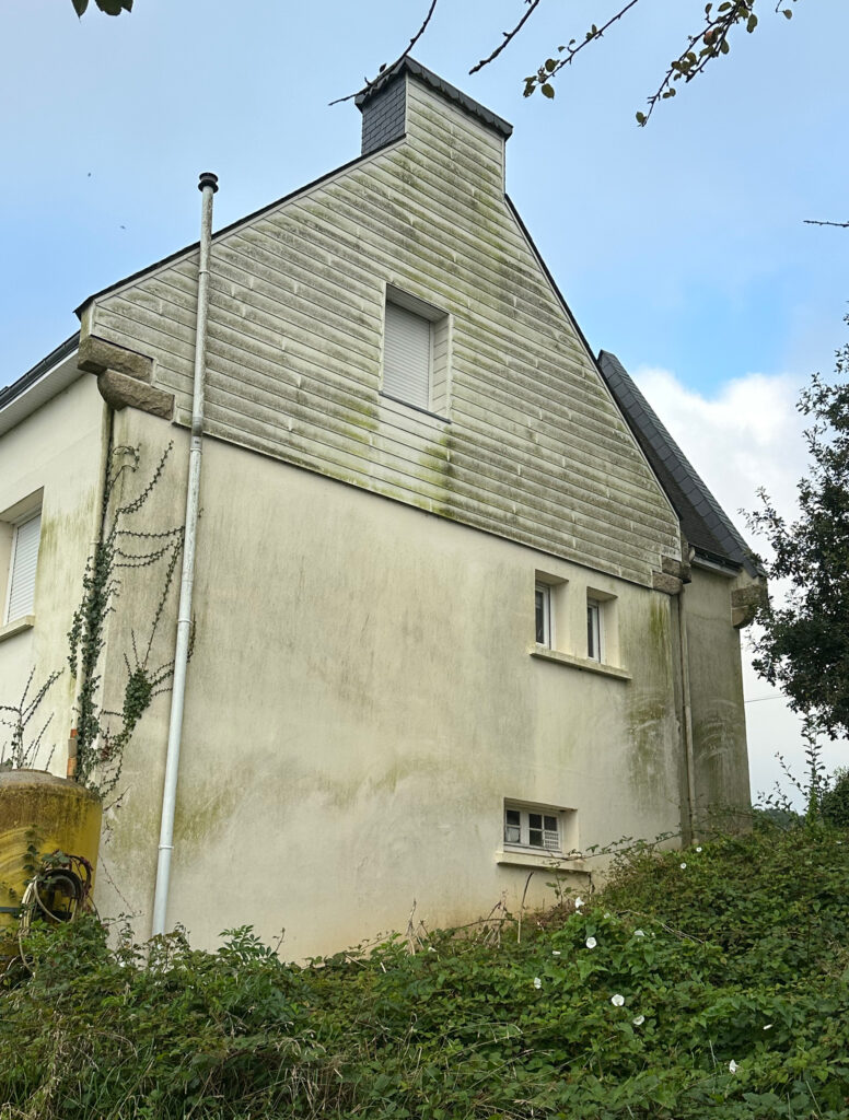 Façade de maison et bardage PVC encrassés par les algues, mousses et salissures avant intervention